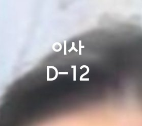 고래 tweet media