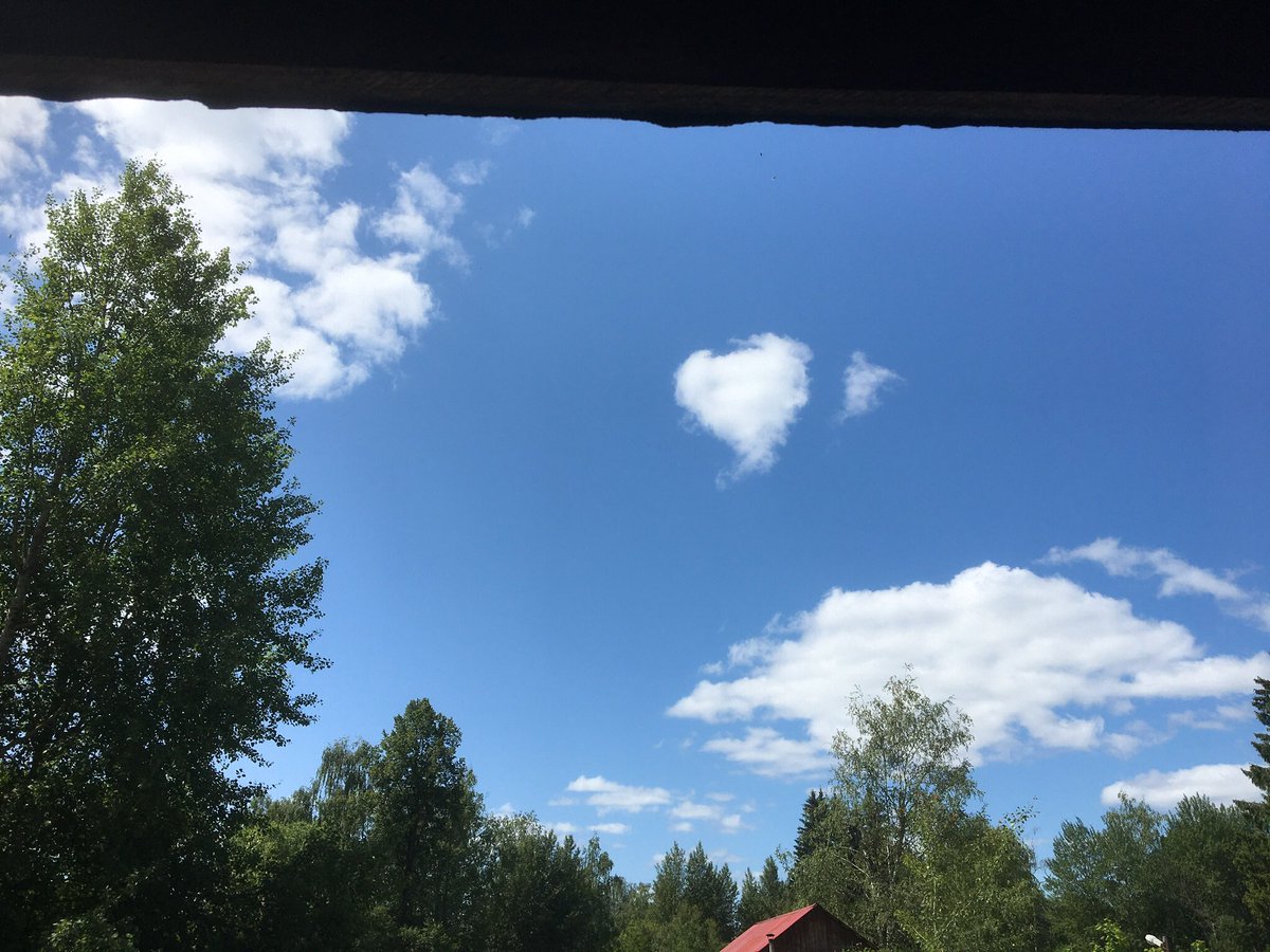 Алексей (@av_petrov_) on Twitter photo 