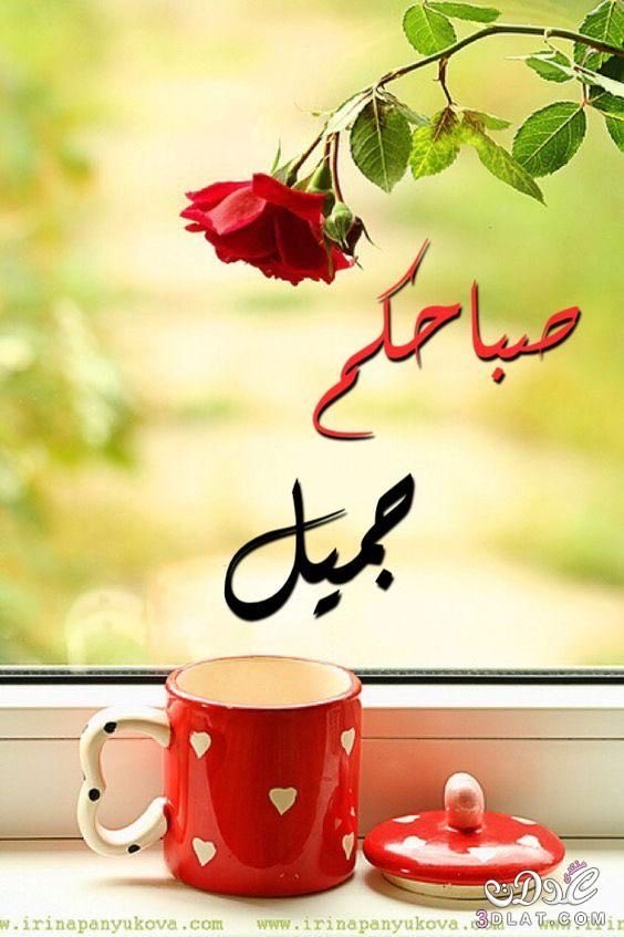 هلا العتيبي♥️ tweet media