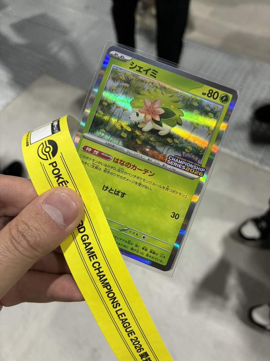 がんばります💪
