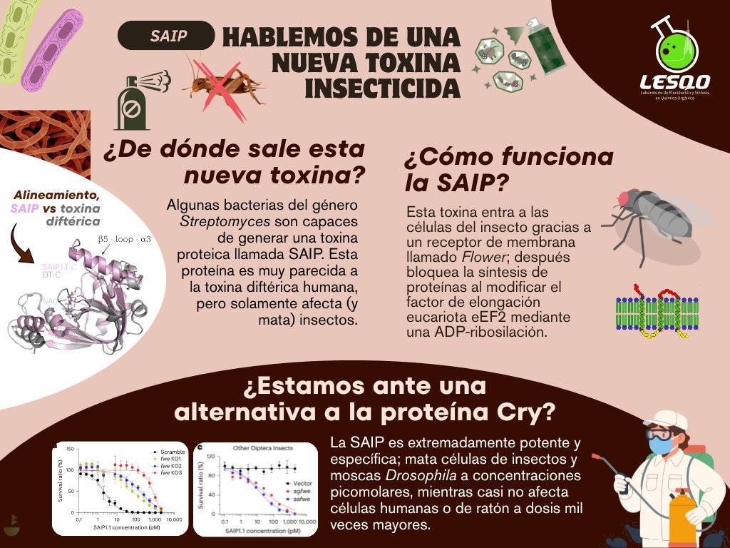 🦠¡Recientemente se descubrió una nueva toxina que solamente afecta insectos! Los estudios señalan que podría ser una útil alternativa para combatir plagas resistentes a la proteína Cry. Información completa en: doi.org/10.1038/s41564…