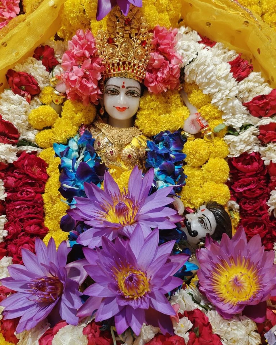 Maa BaglaMukhi Mandir tweet media