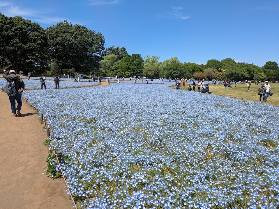 スットコドッコイア〇ルバズーカP tweet media