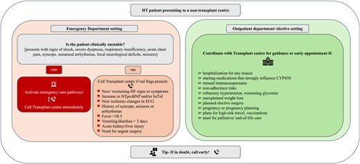 SeguraCardio's tweet photo. 📌Update on heart transplantation: a clinical consensus statement of the Advanced Heart Failure Committee of the #HFA of the @escardio 

#PositionPaper #HeartTransplant #AdvancedHeartFailure #HF https://t.co/NNpmrm5Lfc
