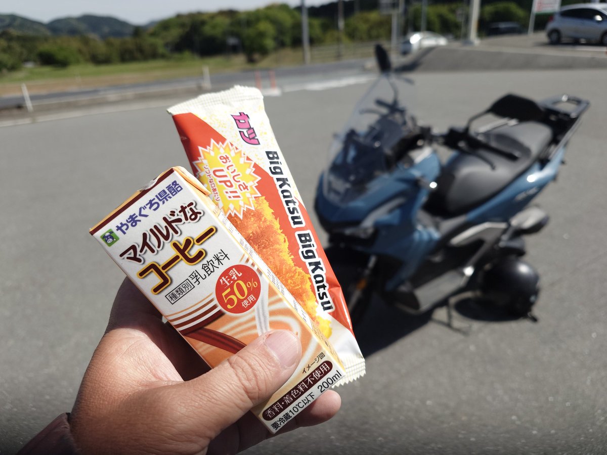 お散歩のつもりが…
陽気に誘われて出かけています😺🐾
#バイクの楽しさを伝えたい