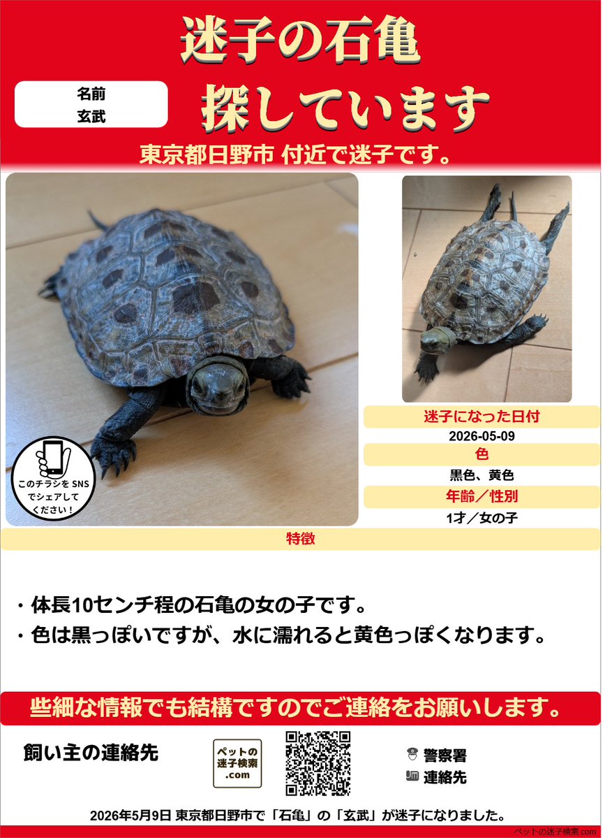 【本家】ペットの迷子検索.com tweet media