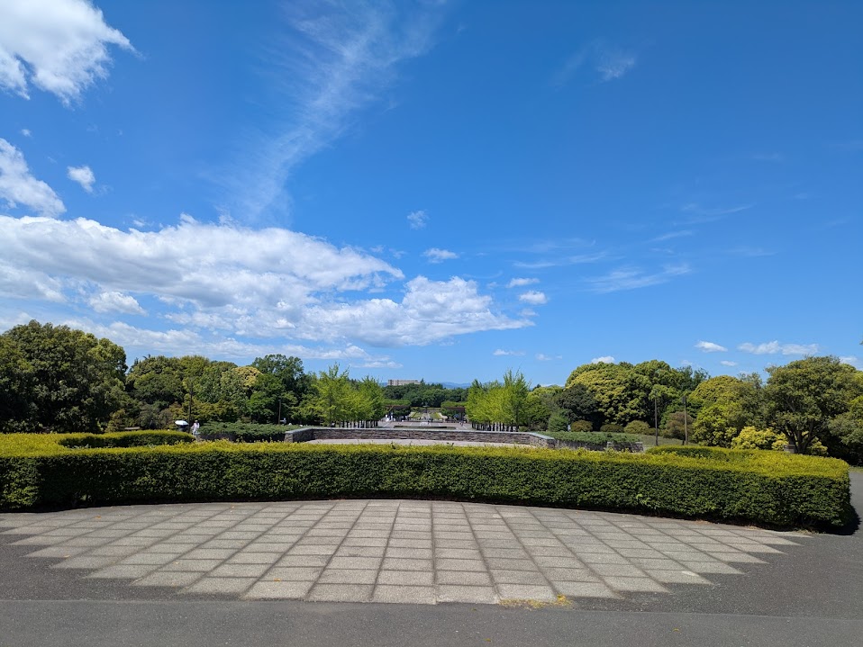 スットコドッコイア〇ルバズーカP tweet media