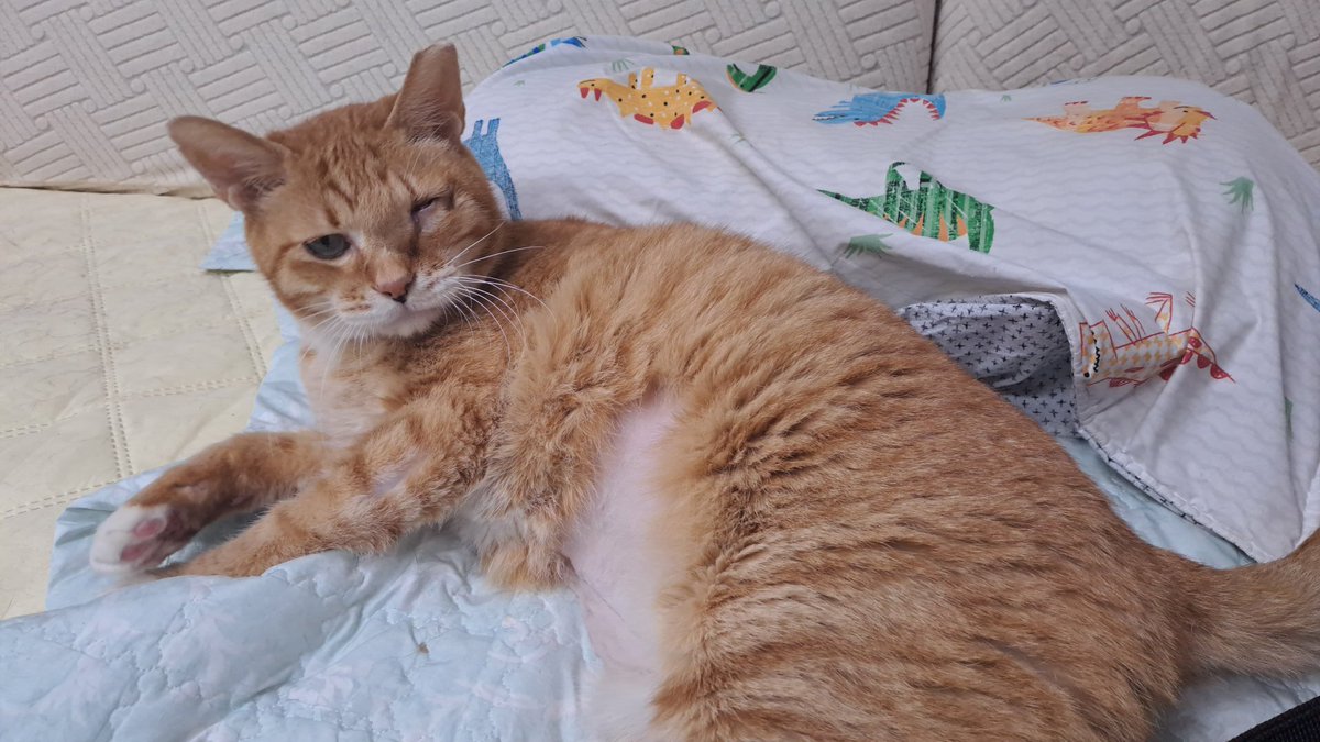 🐻‍❄️웅이🐻‍❄️ tweet media