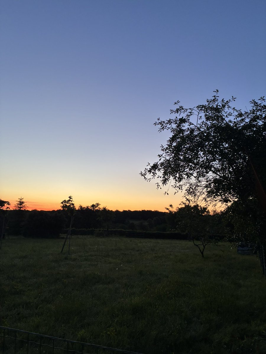 Voilà pourquoi j’aimes les 6 h du mat à la campagne. Ni obligation mais le choix de me levée et de contempler la nature . Les chants des oiseaux sont superbes et font du bien à notre cerveau 🩷