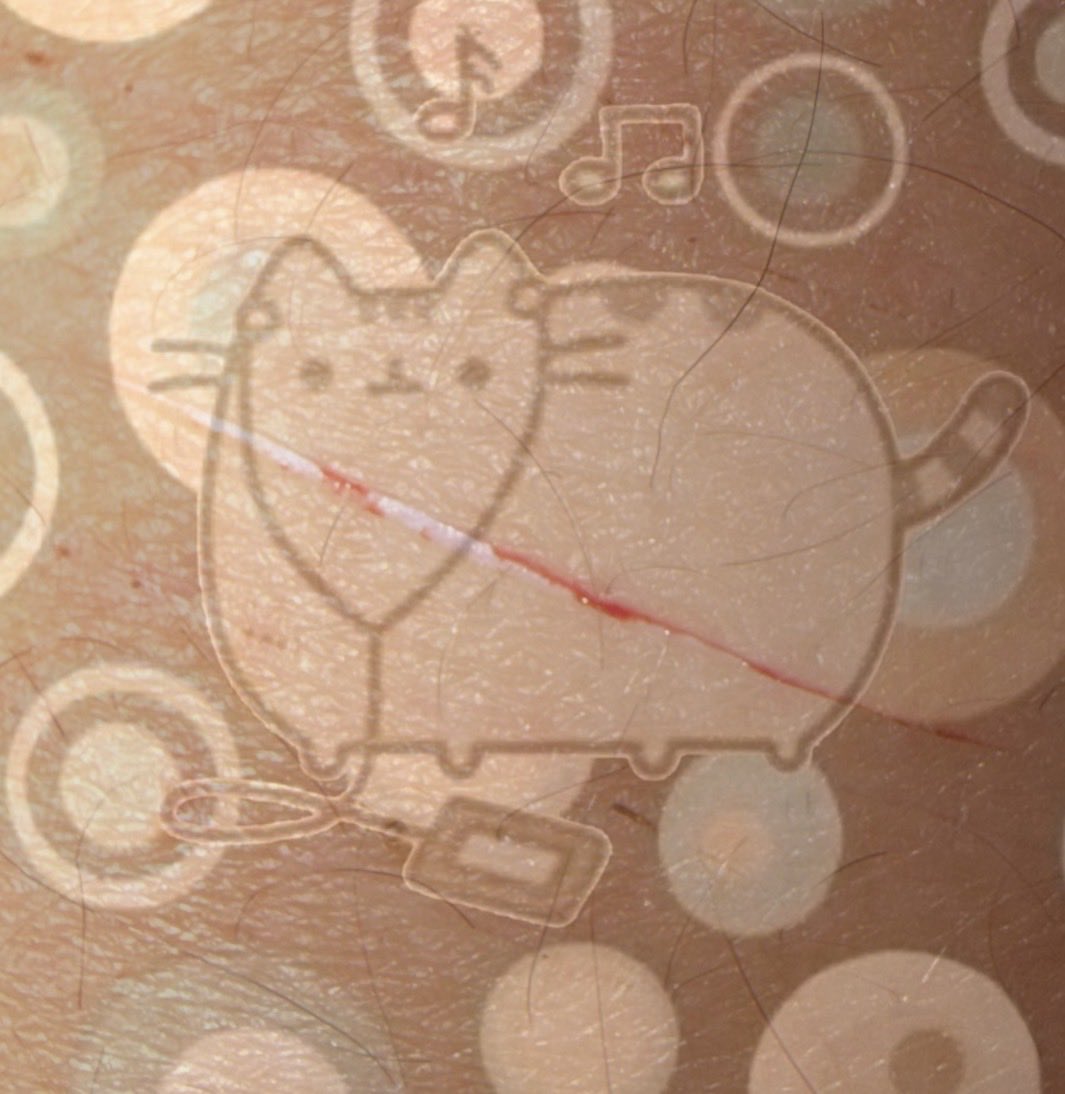 PetRat tweet media