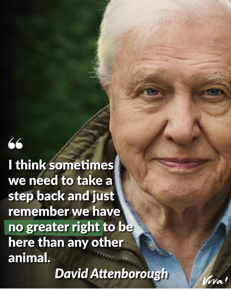Sometimes the most important thing we can do is remember we are part of nature, not above it. 

Imagine how differently we would live if we truly believed every species had equal claim to this Earth. We act like we own the planet, but we are just one species among millions. A