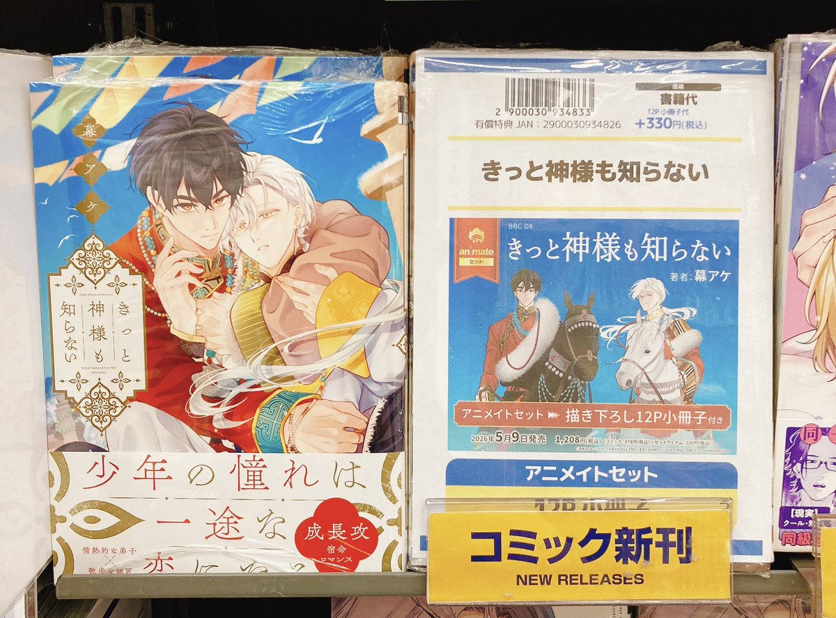 スチプリ アニメイト特典 小冊子 こんなの運命じゃないから勘違いしないで 新婚編 下 アニメイト特典