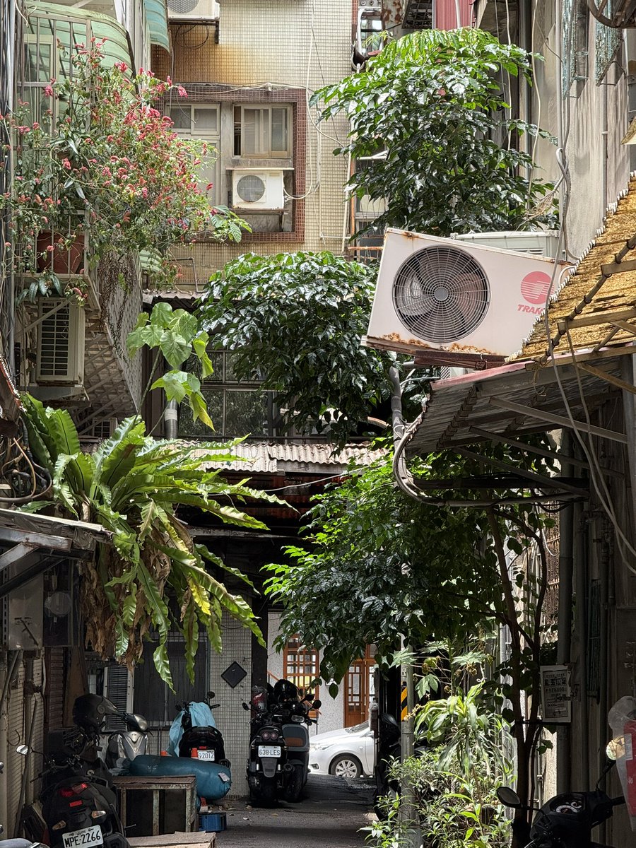 neopome's tweet photo. 台湾・台北市。迪化街近くの古い街並みが残る区画。 https://t.co/jrnIjuWpq2