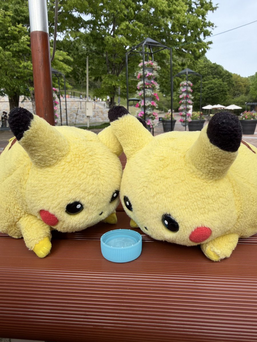 初期ピカの集い tweet media