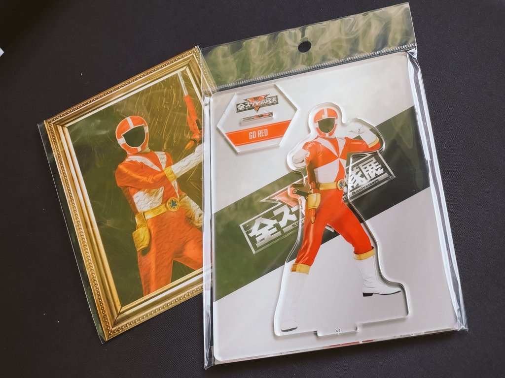 sinさん専用 ゴーレッド関連だけ購入。