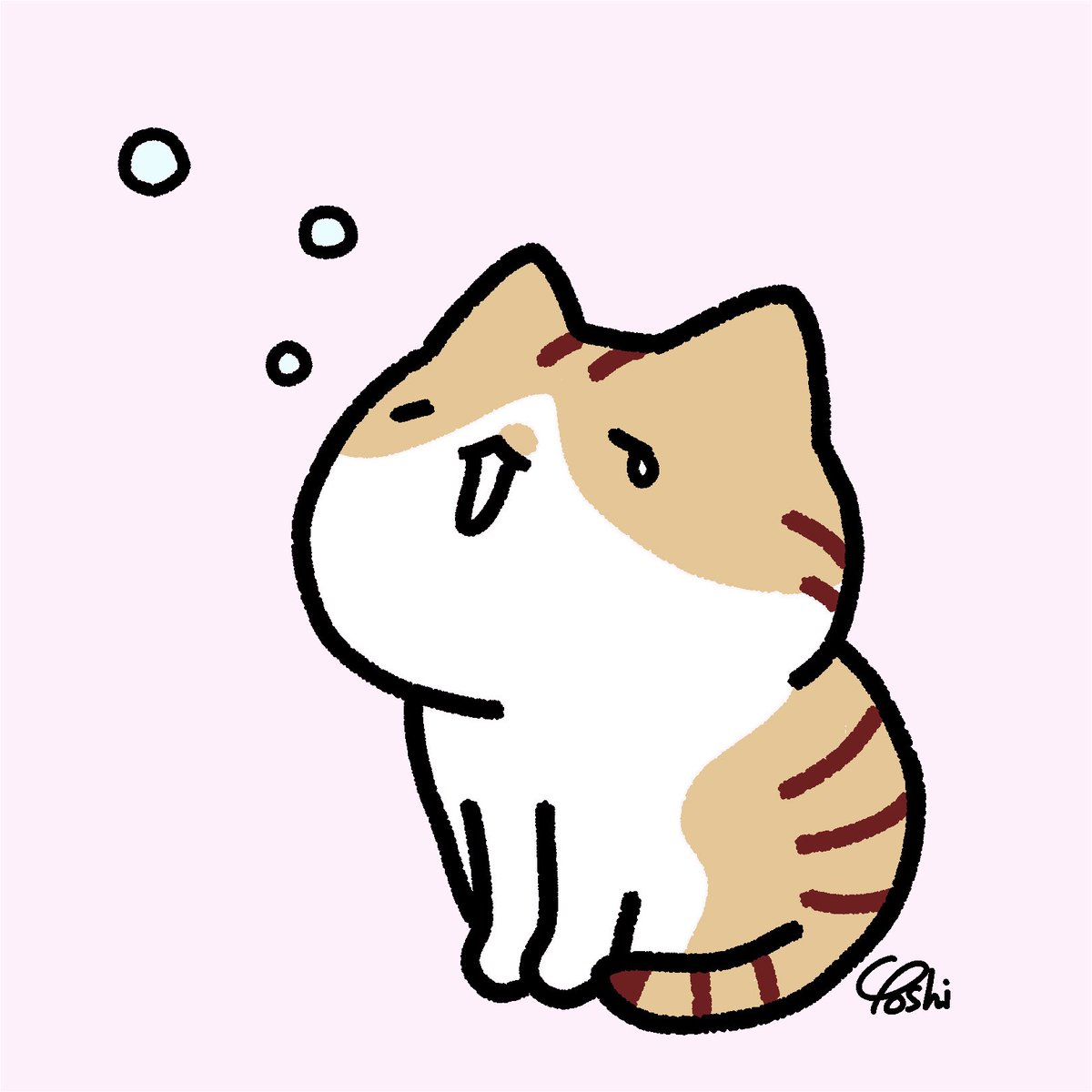 Yoshi(元猫カフェスタッフ) tweet media