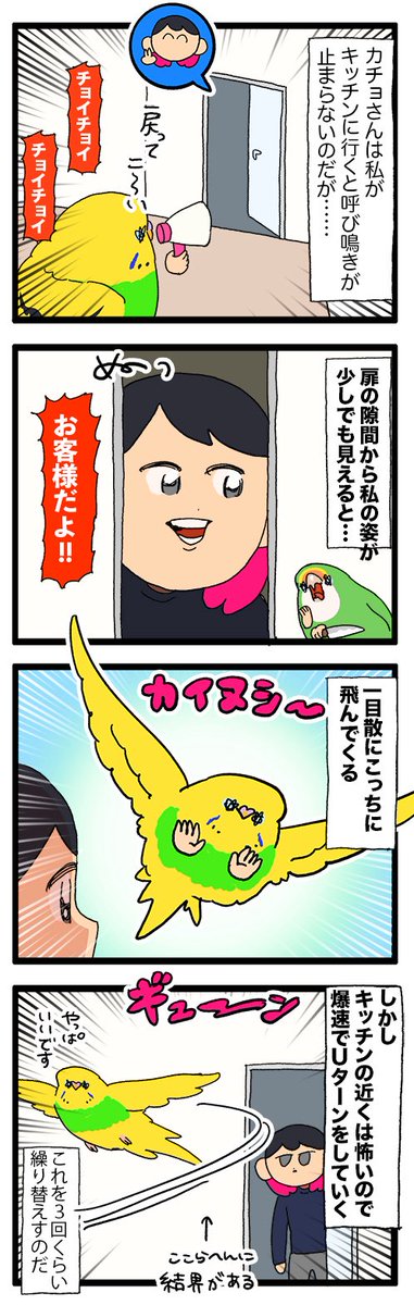 鳥さん、ここから先には行けない結界ってあるよね🦜

2310 #えるポピの絵日記かくところ 