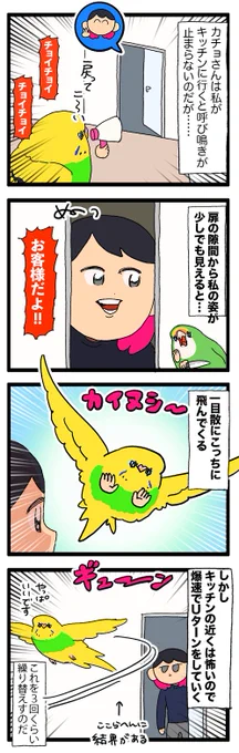 鳥さん、ここから先には行けない結界ってあるよね🦜

2310 #えるポピの絵日記かくところ 