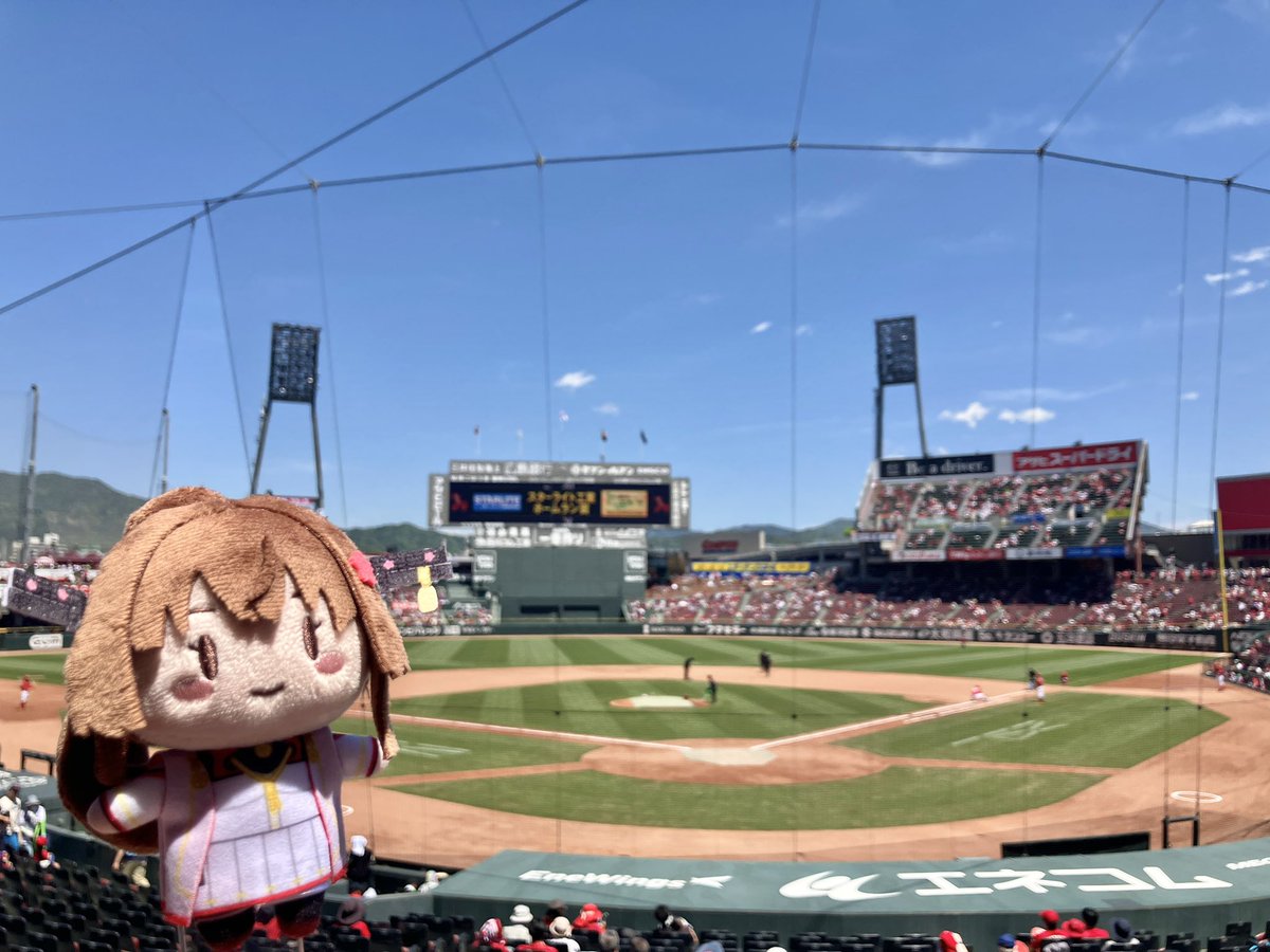 大和さん、カープだよ。