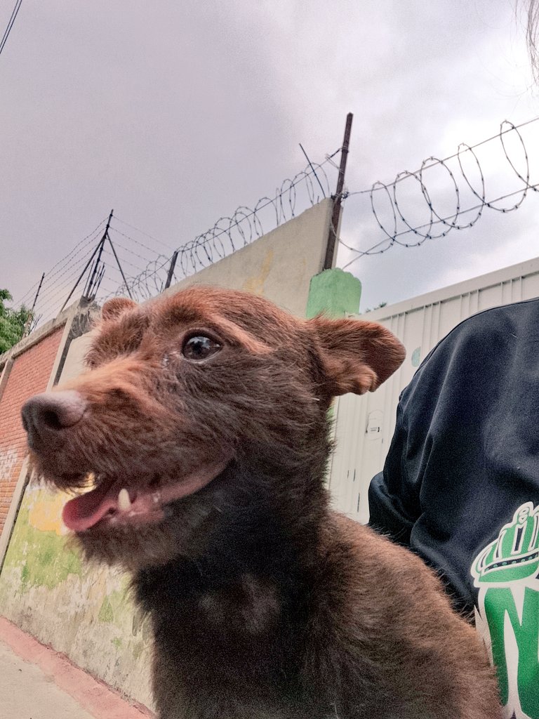 Quién se anima, chulada de huerquillo!!!