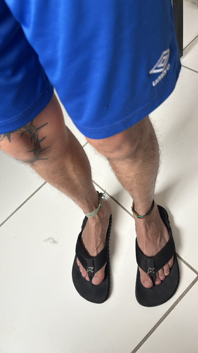 scally br 🐽 tweet media