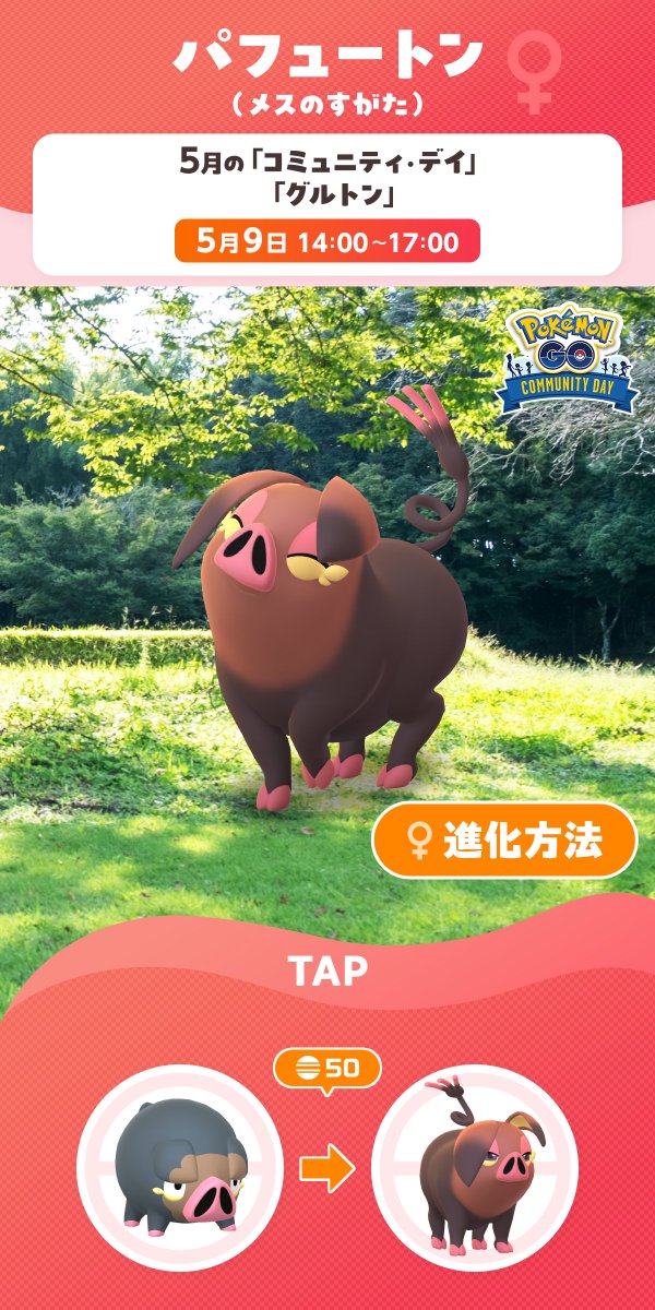 Pokémon GO Japan tweet media