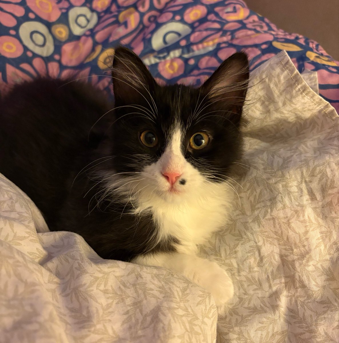 joey⋆ ˚｡⋆୨୧˚ tweet media