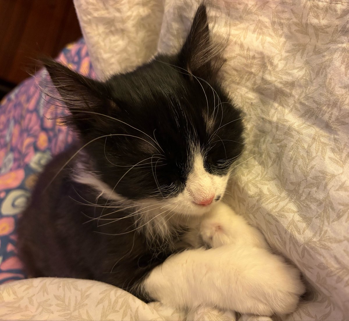 joey⋆ ˚｡⋆୨୧˚ tweet media