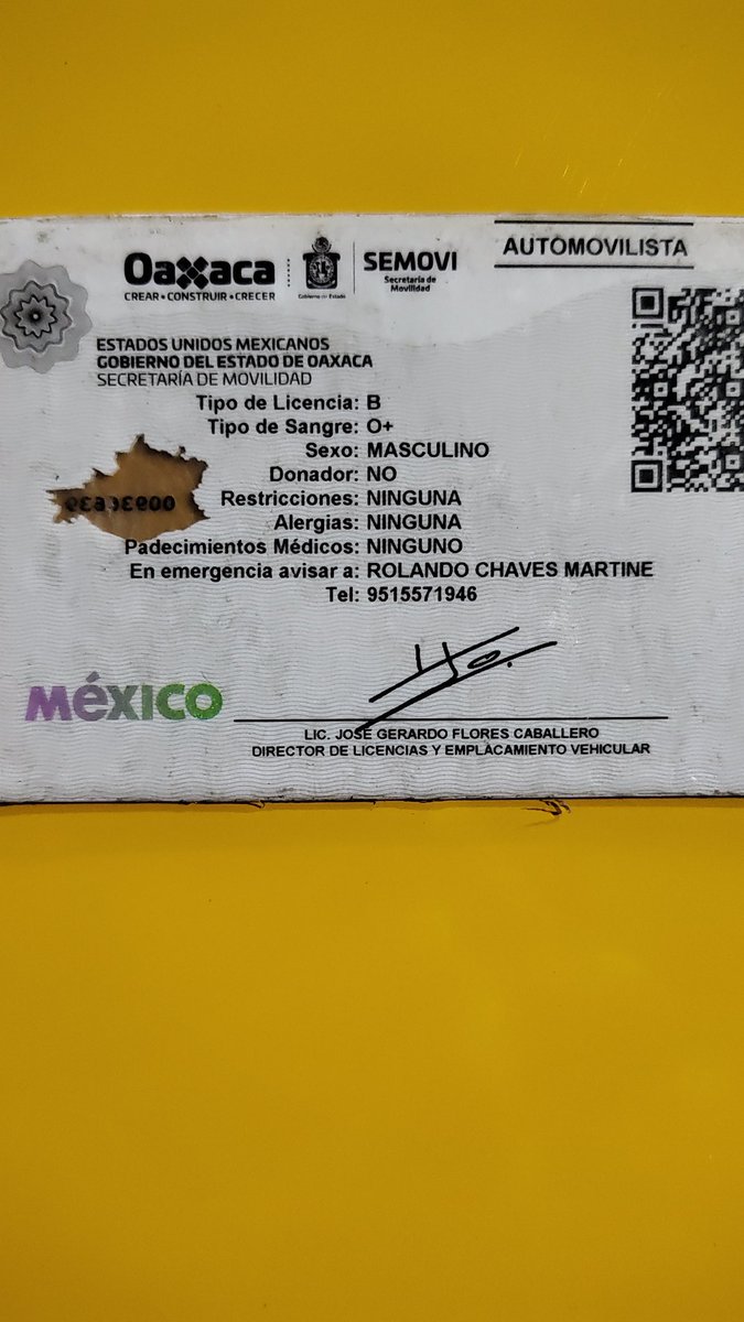 ContraProMx's tweet photo. #QueLasRedesAyuden 🙏🏽🙏🏽
😡 #DenunciaCiudadana 

🚗🚙🚗 Un particular informa que aproximadamente a las 20:00 hrs cerca del puente del Tecnológico de #Oaxaca, un grupo de 4 jóvenes con aliento #alcohólico a bordo de un auto blanco #Peugeot placas #THW8588C, le dieron un golpe por alcance, por lo que descendieron de la unidad para llegar a un acuerdo, por lo que el responsable del incidente presentó su licencia (vencida) y 2 tarjetas bancarias  NU (sin saldo); sin embargo al acomodar los autos escaparon del lugar, por lo que fueron seguidos por el afectado hasta la Colonia Guadalupe Victoria, dónde se detuvieron y bajaron con la intención de agredir 😡😡 al afectado por lo que esté logro escapar del lugar. 

📢🚨📢 El cobarde responsable del accidente responde al nombre de José Rolando #ChávezFlores, quién iba con 3 individuos y una joven. 

Por lo anterior, se solicita que si lo identifican, aporten información al 911 para su aseguramiento. Se anexan la licencia de conducir y las tarjetas que ofreció como garantía.

!!No permitamos que se repitan este tipo de comportamientos !!

#oaxaca @SEMOVI_GobOax @C5i_Oaxaca @SSPC_GobOax