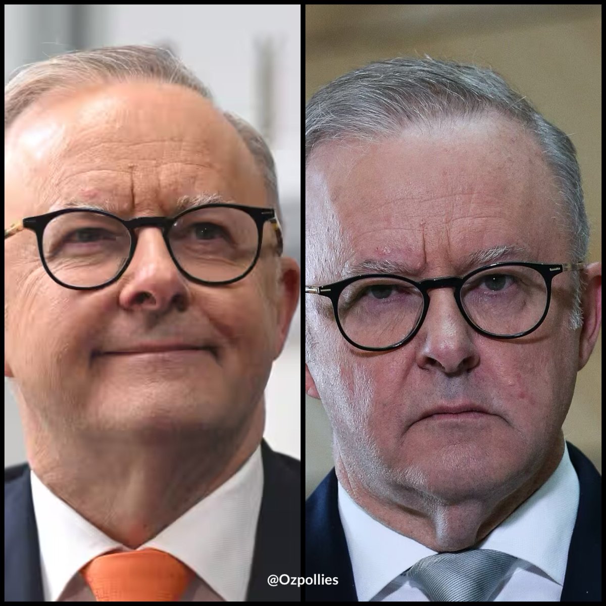 Ozpollies tweet media