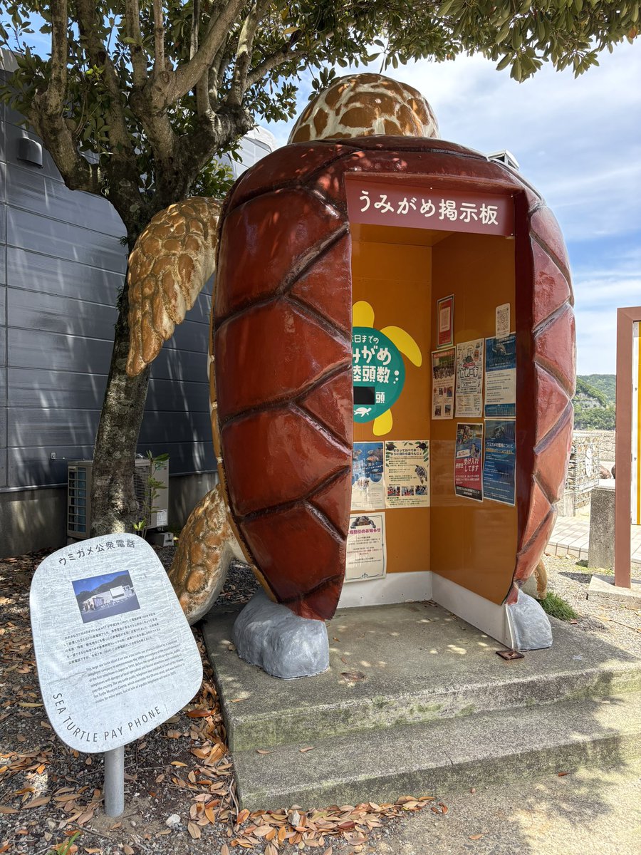 ボタもち tweet media