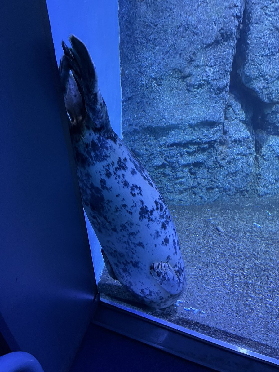 なんかの菌 水族館の本とグッズ (@washoking) / Posts / X