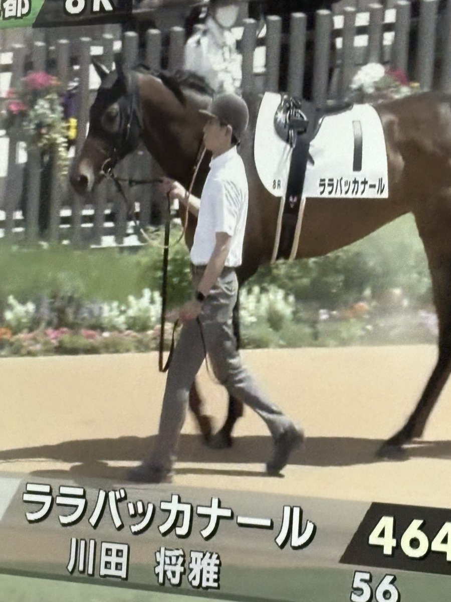 らら (@Rara_IDOLHORSE) / Posts / X