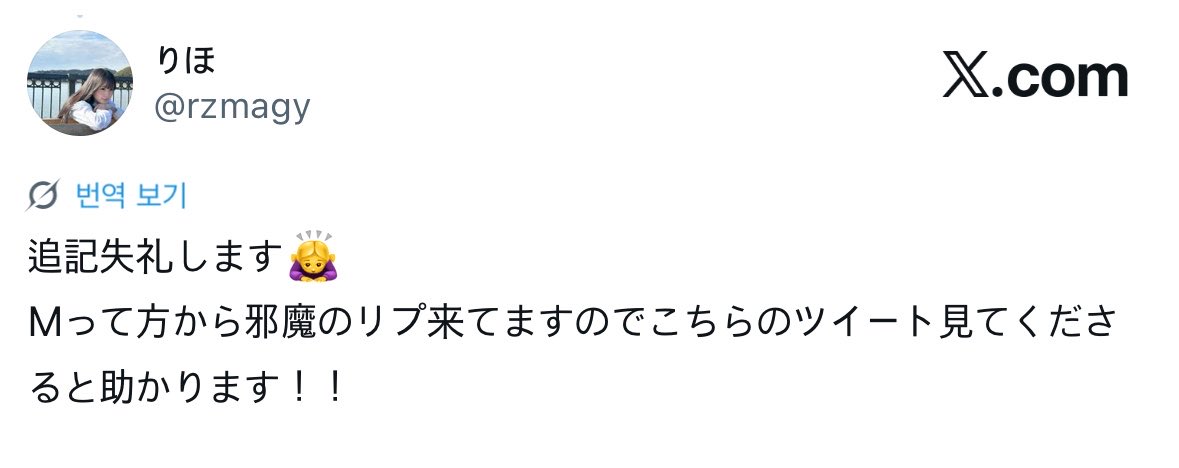 🫧 tweet media