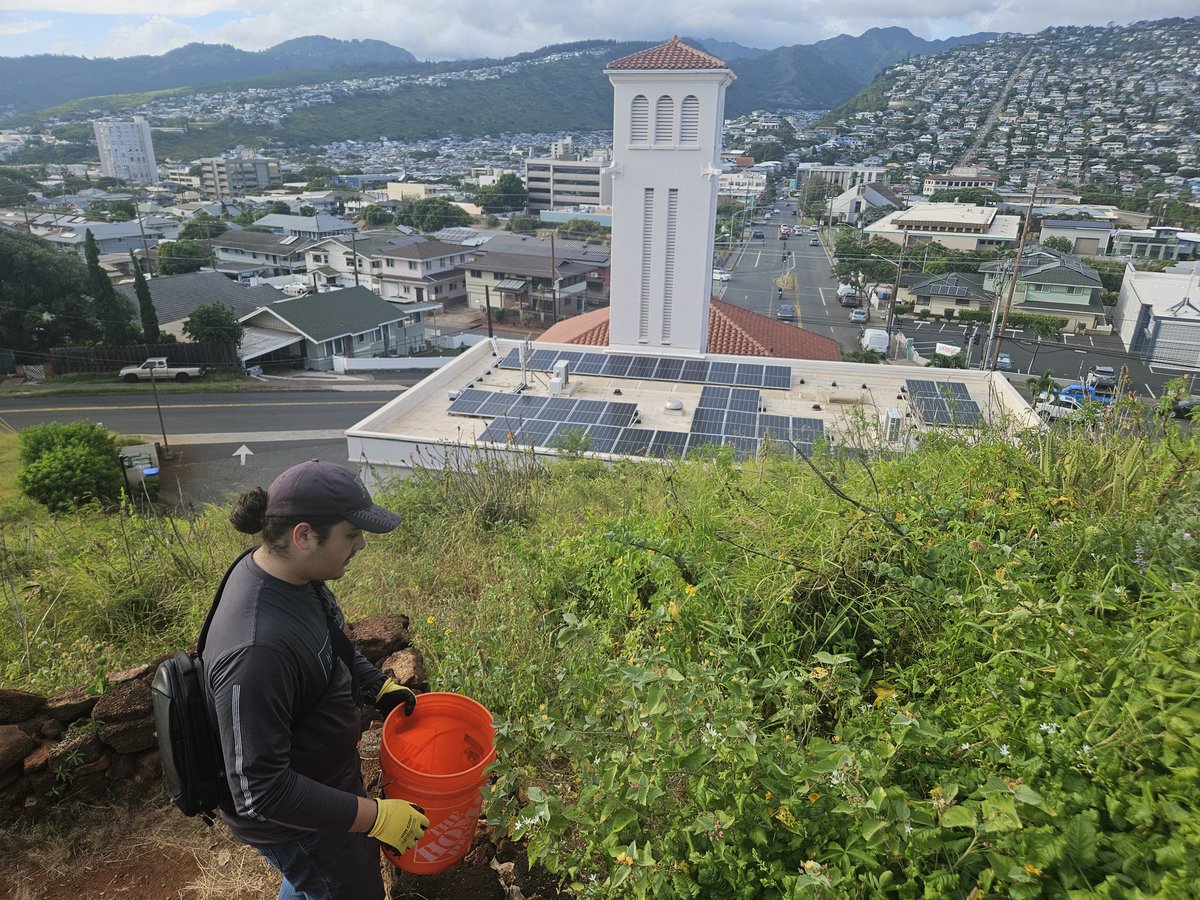 808cleanups tweet media