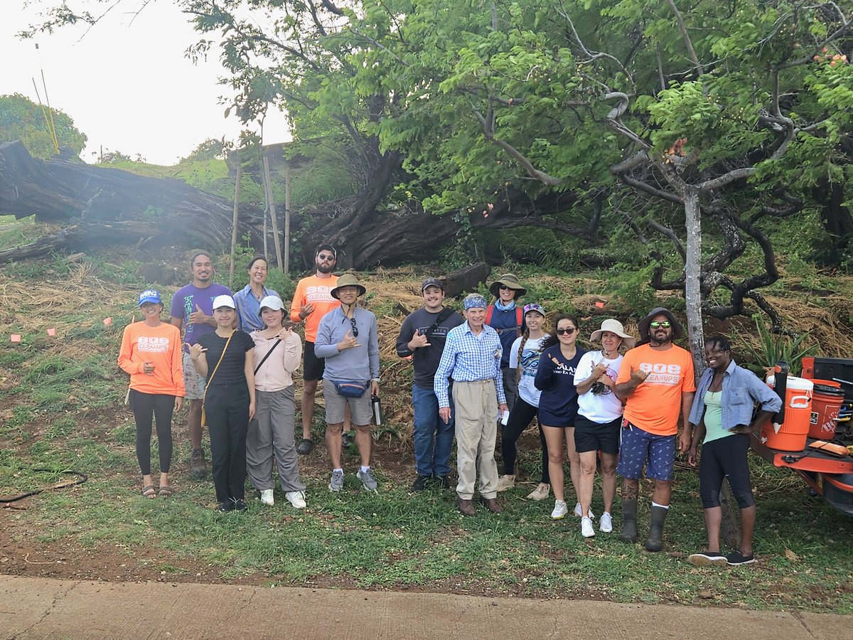 808cleanups tweet media