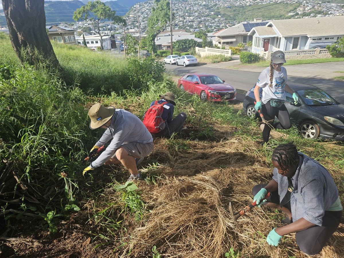 808cleanups tweet media