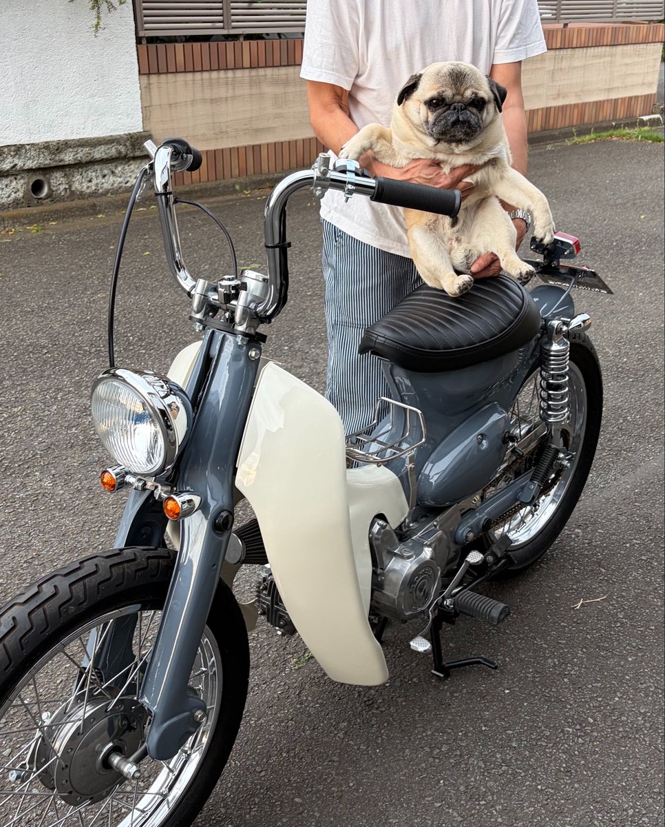 おれパグ🐾これカブ🏍️YoYo〜🎧 今日はチチの誕生日🎂自分で誕生日