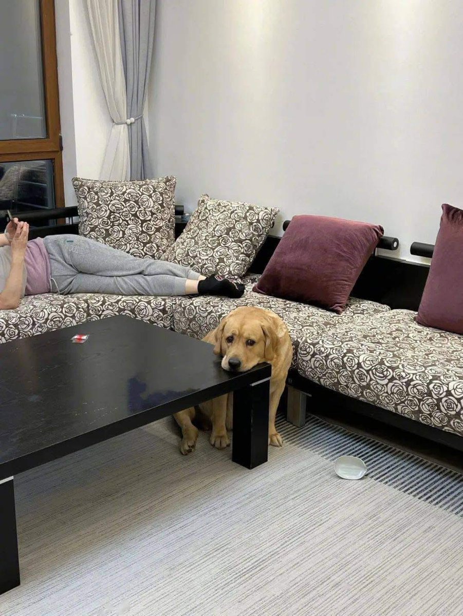ตามติดชีวิตAnimal tweet media