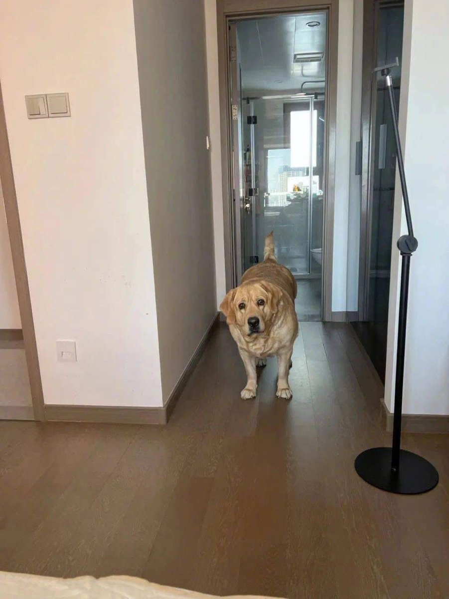 ตามติดชีวิตAnimal tweet media
