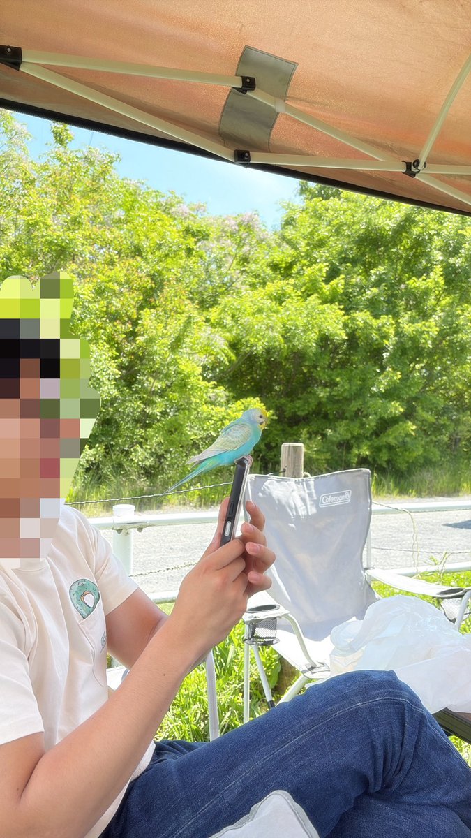 ✌︎Ralph✌︎ tweet media