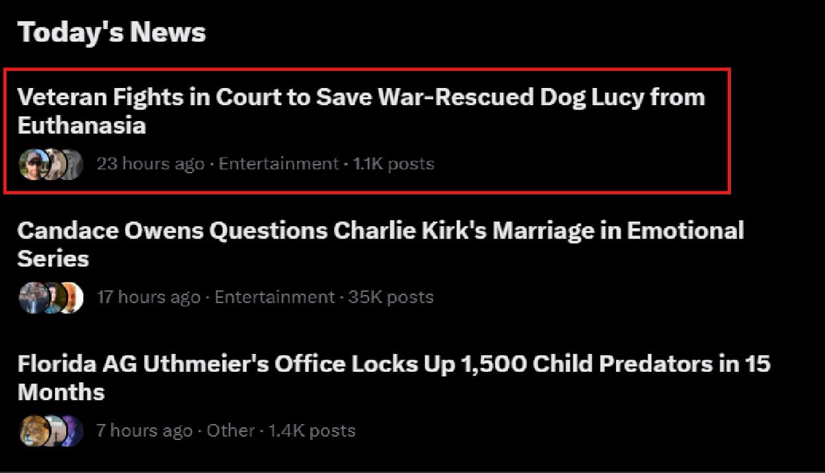 We didn't get the result I had hoped for this morning, perhaps too optimistically. The legal system rarely moves quickly. 

We're not losing heart. In fact, we are gaining traction and momentum. Lucy, a dog born in some mudhole on the border between Jordan and Syria, is trending