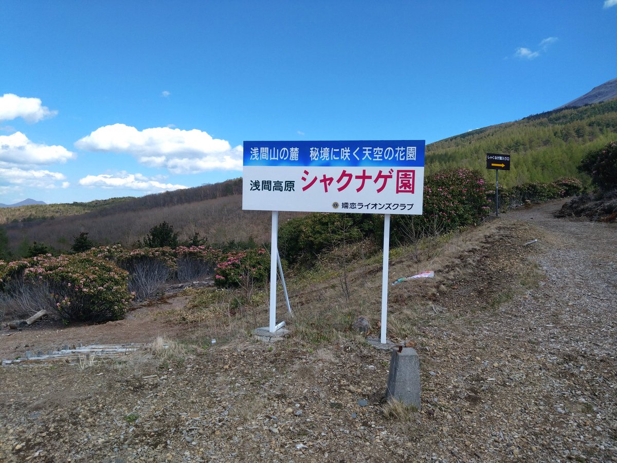 タニ tweet media
