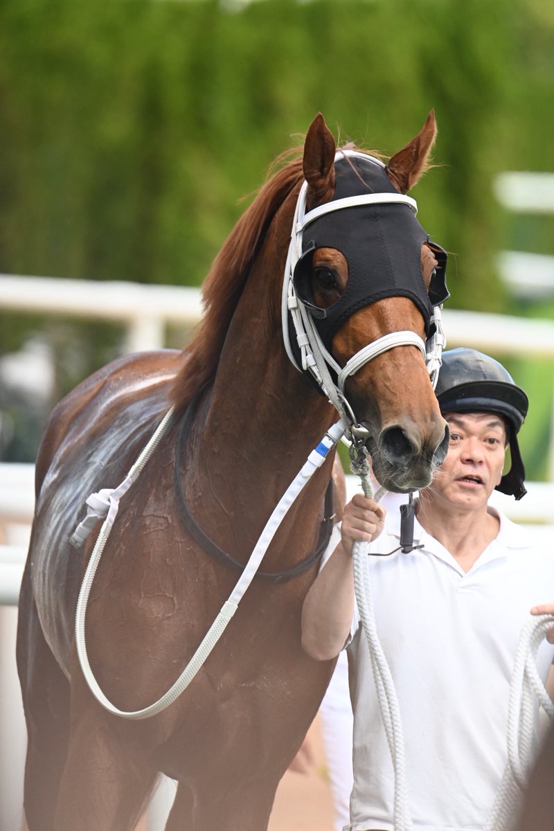 #テンエースワン
#ワールドエース
#ミルコ今年JRA初勝利