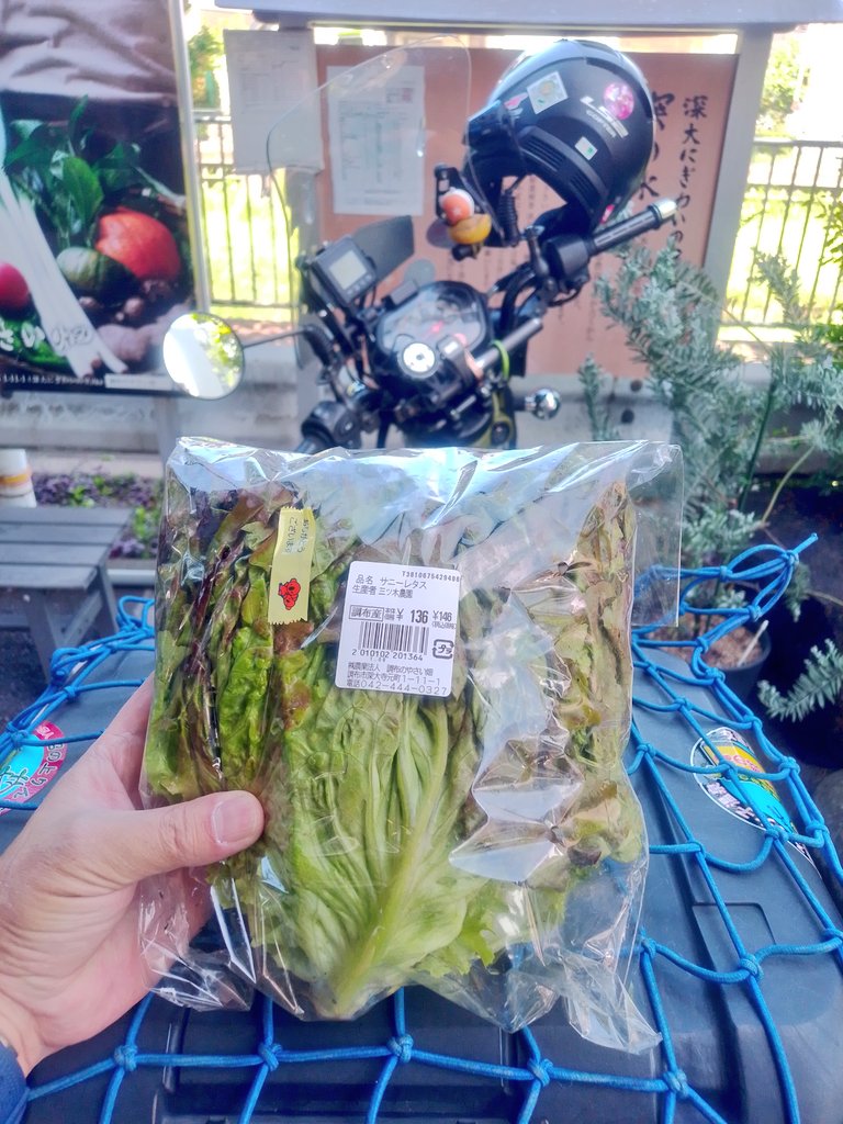 お水をいただきに来ました
小ぶりサニーレタス3つで146円だったので衝動買い( ^ω^)b
@深大にぎわいの里