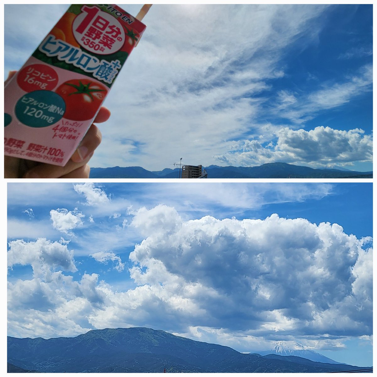 リコピン