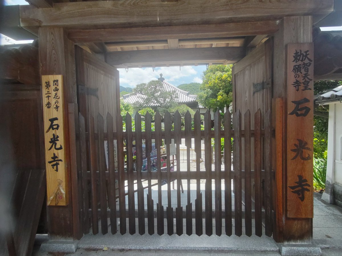 背中の鷲 tweet media