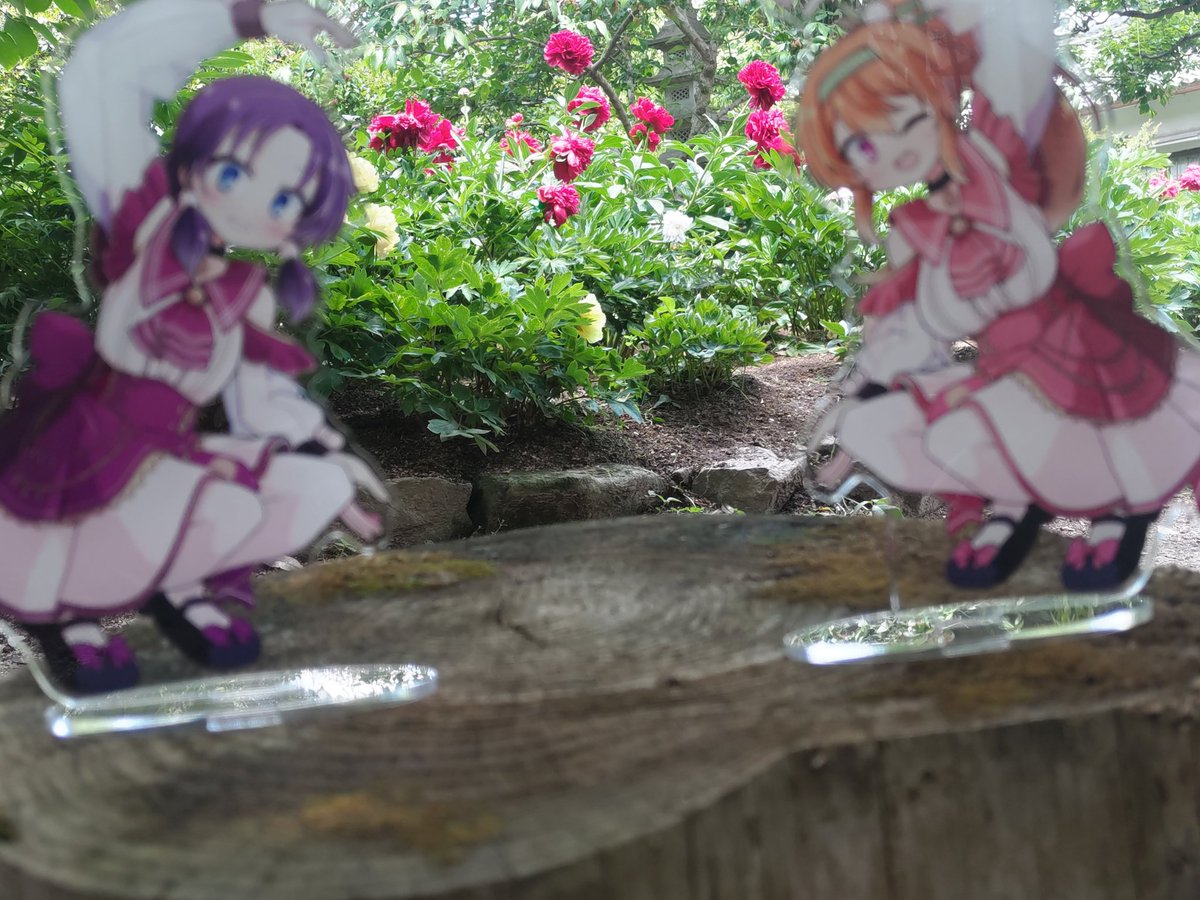 背中の鷲 tweet media