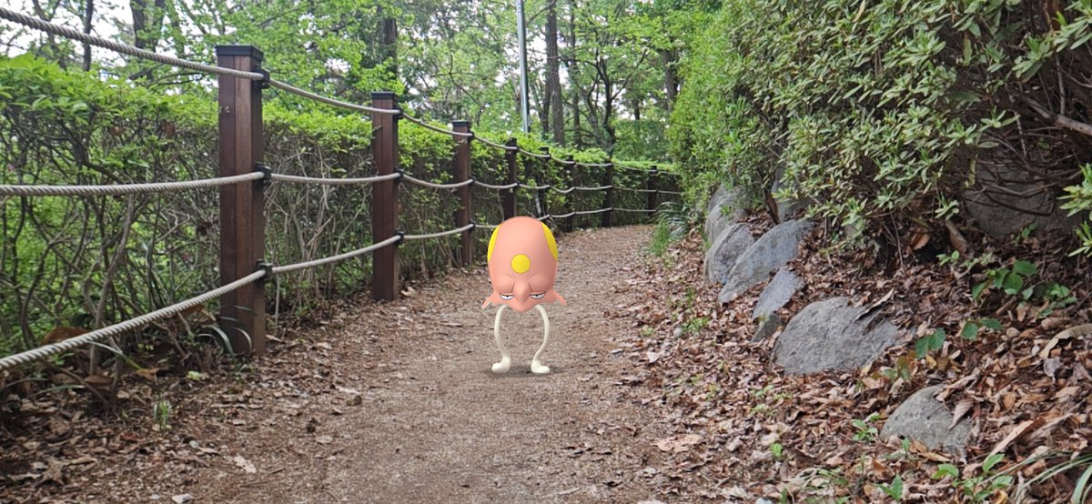 mygosnapshot's tweet photo. 들눈해 ( Toedscool ) ノノクラゲ
#GOsnapshot #PokemonGO #Pokemon #포켓몬 #포켓몬고 #포켓몬GO #GO스냅샷 #고스냅샷 #ポケモン #ポケモンGO #GOスナップショット 사진 photography 写真 ar arphoto AR사진 AR写真 AugmentedReality 증강현실 拡張現実 #들눈해 #Toedscool #ノノクラゲ https://t.co/nycqP1HV0i