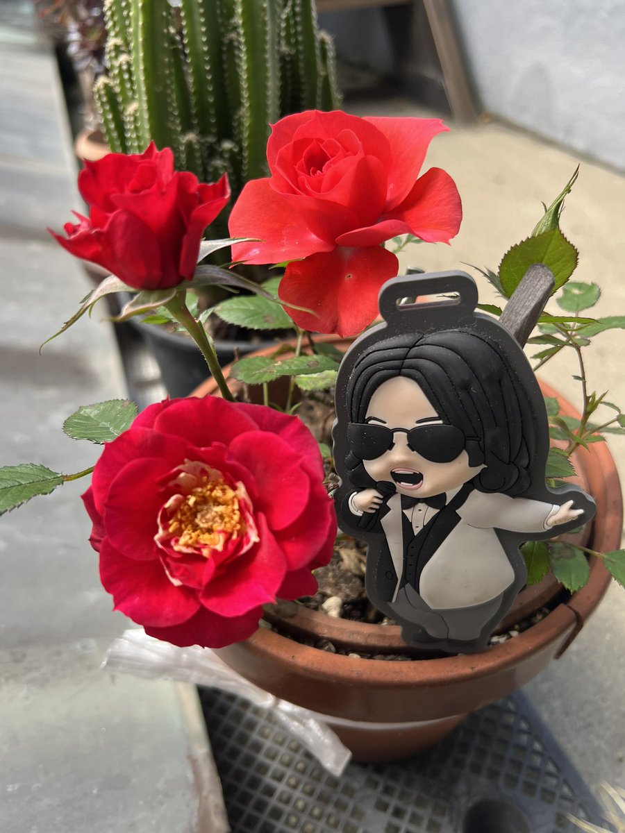 薔薇が咲いた 薔薇が咲いた 真っ赤な薔薇が 数年前に母に贈った母の日